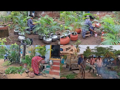 మొక్కలు పెంచడం  కోసం ఇలా ప్లాన్ చేసుకున్నాను. Gardening ideas in telugu.