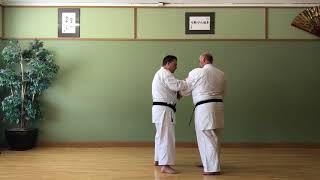 Meibukan Goju Ryu Karate - Byakko Opening Through Triple Punch Sequence