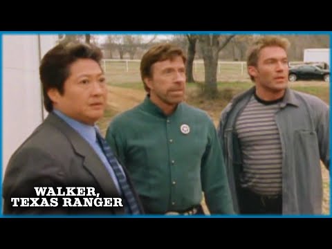 Walker & Gage Ambush Terrorists | Walker, Texas Ranger