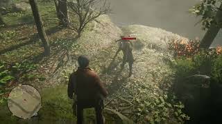 Rdr2 but recorded by my friend.