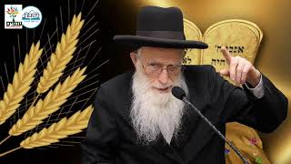 הרב יהודה יוספי | פרשת נשא 2026 | שבועות - מקבלים תורה!