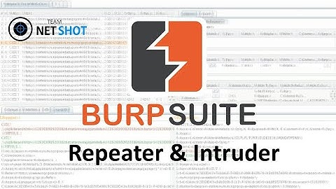 Burp Suite tutorial for beginners: using the repeater and the intruder