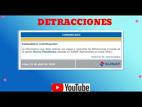 consulta pago de