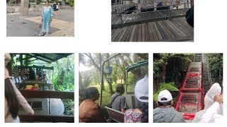 Cairnsgreat Barrier Reef Terminal Green Island Rain Forest Army Duck Tour Skyrail From Kuranda