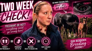 2 WEEK CHECK TIME!!! What will we find, absolutely nothing or… a little too much???