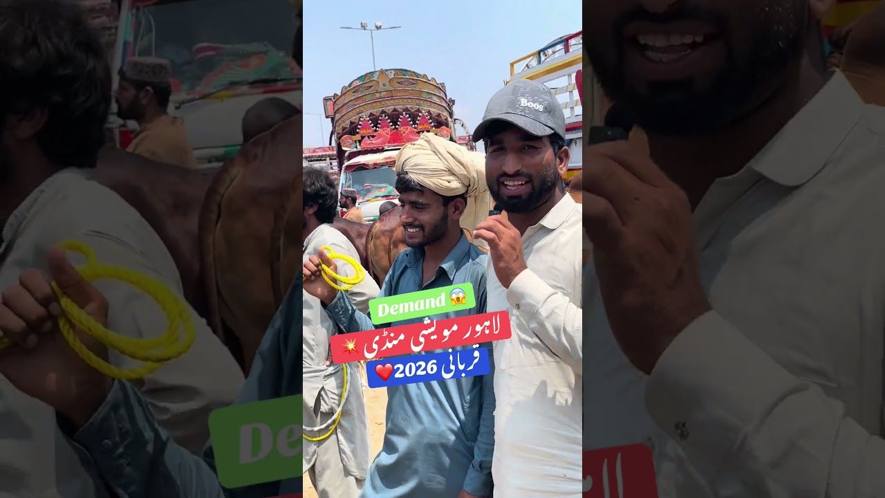 Lahore cattle mandi ❤️qurbani 2026🔥 #cattlemarket #bull #bullfarm #cow #cattleworld #cattleworld