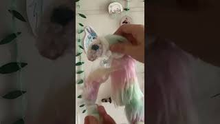 Meet: Noodle! She’s a snake with fur! I crafted her by myself!#diy#art#snake#craftingideas#fursnake