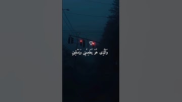 تلاوة تخشع لها القلوب بصوت القارئ إسلام صبحي - أجمل ما ستسمع #اسلام_صبحي #short