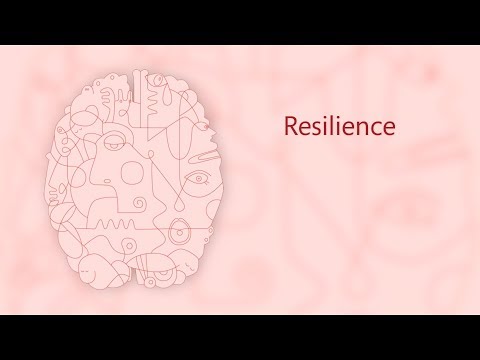 The Kristinadaniellexo Leaks: Lessons In Resilience