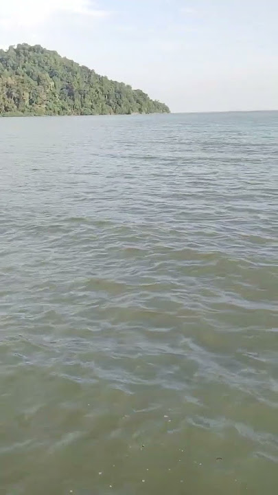 ngeri banyak yang bugil di pantai #pesonaindonesia #kalimantan #shortvideo