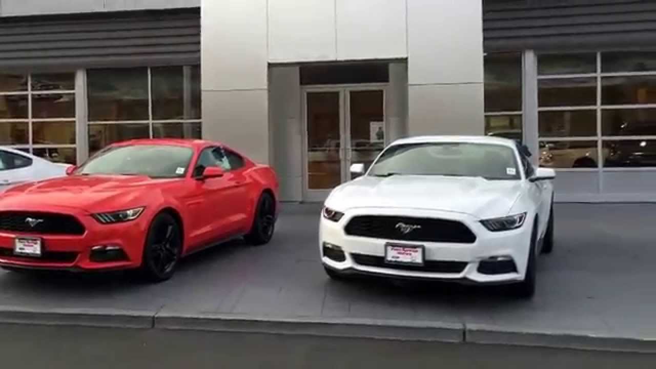 New 2015 Mustangs at Palm Springs Motors multiple colors Act Now YouTube
