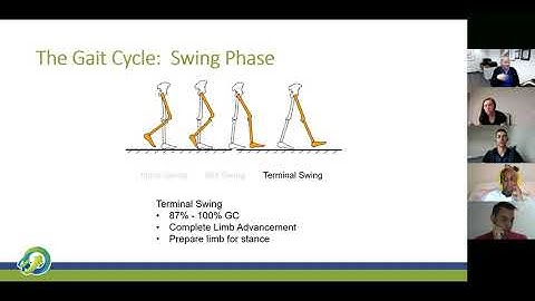 10/02 Gait Lecture: Ankle and foot kinematics
