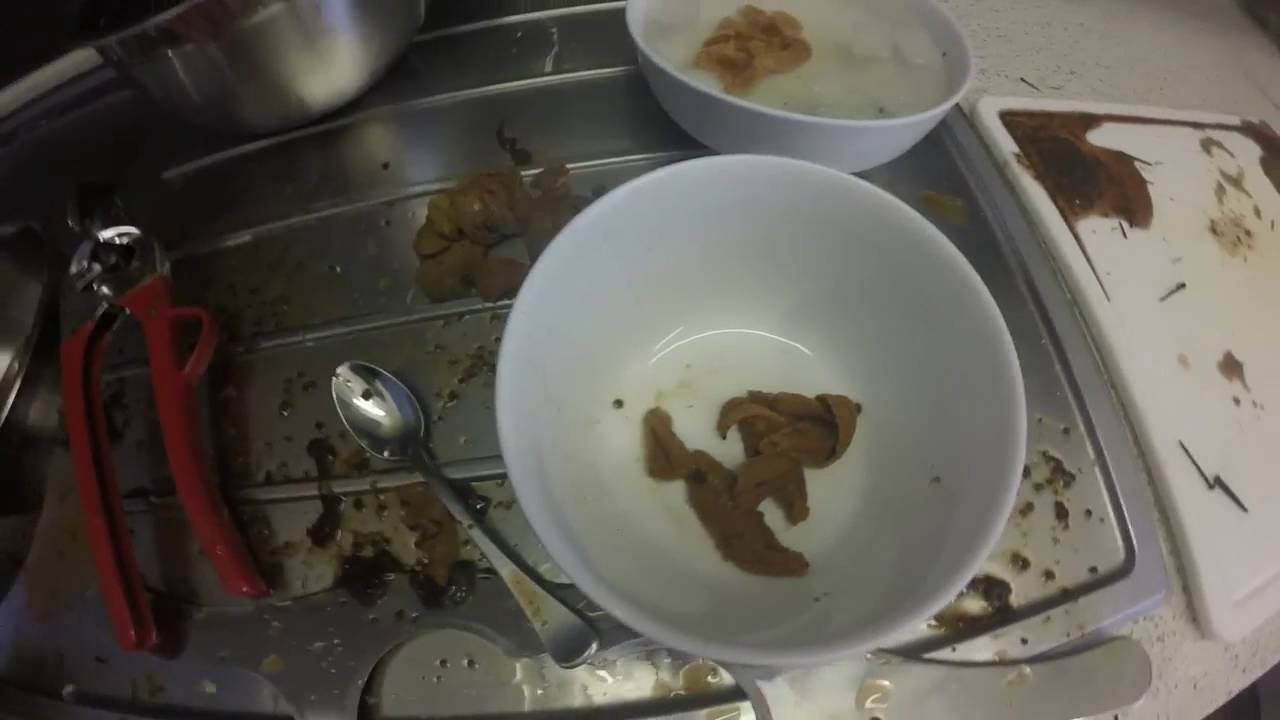 Competing species heliocidaris erythrogramma