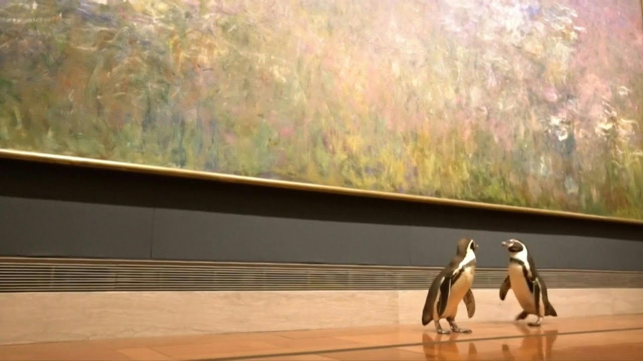 Pinguine bestaunen Kunst im Museum | AFP