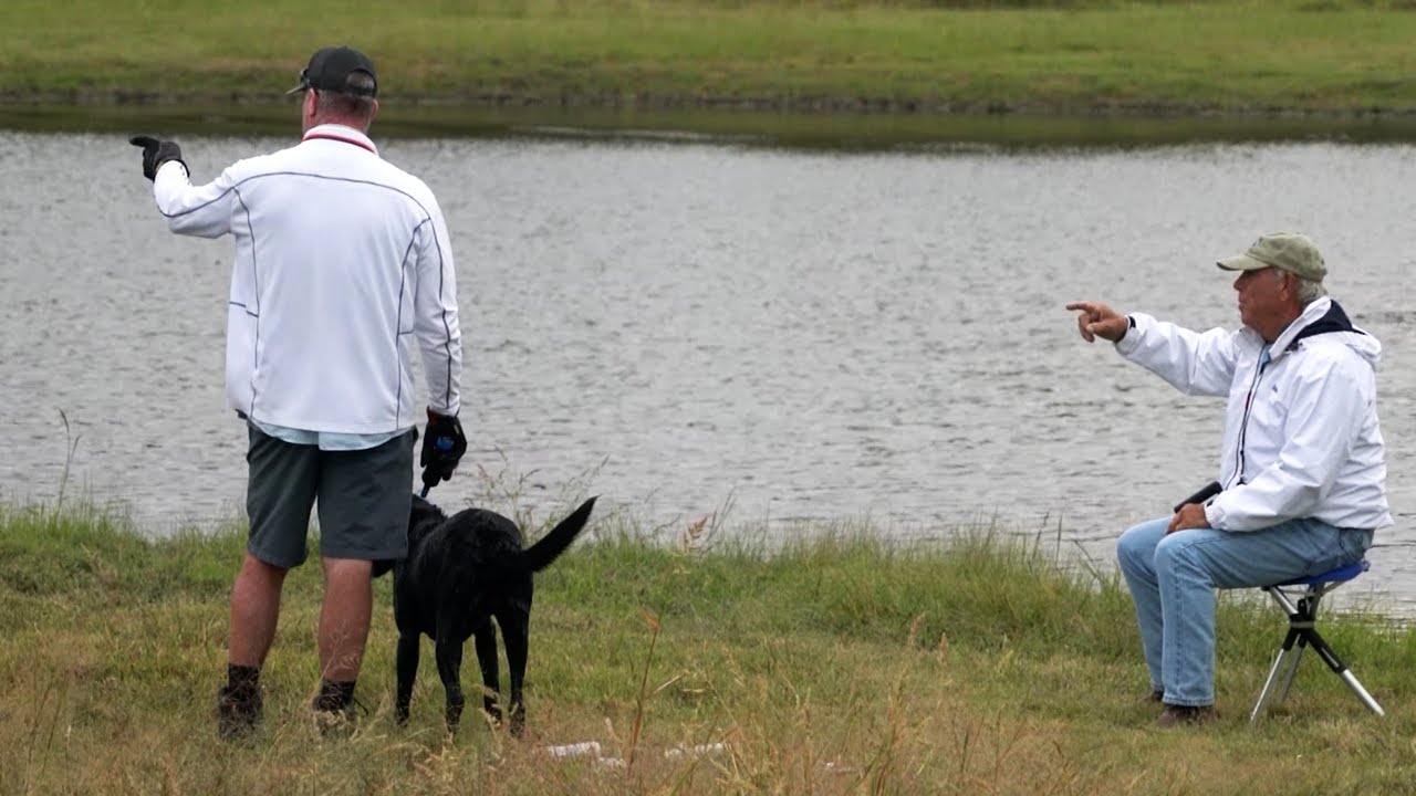 New Mini Three Legged Pattern Drill for Retrievers with Bill Hillmann