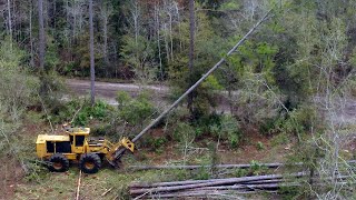 What does a Feller Buncher Operator do in logging?
