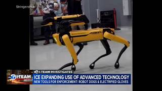 ICE plans to use robot dogs, electrified gloves, social media tracking for immigration enforcement