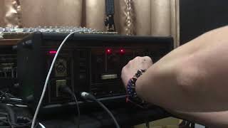 [DB Studio]Buchla Music Easel & Roland RE-501