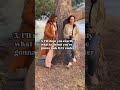 listen … if you’re just looking for someone to meet you at a park and give you a few basic photos on