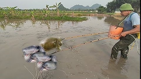 kích cá hai ông cháu đánh được rất nhiều cá khủng trong rãnh bơm