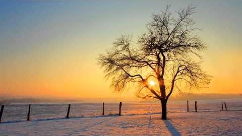 سورة الفلق عبدالرحمن السديس - Surah Al Falaq Abdulrahman Al-Sudais
