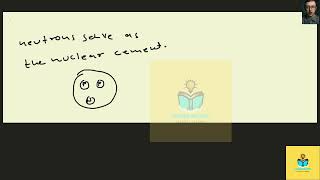 [Physics] What is the role of neutrons in the atomic nucleus?