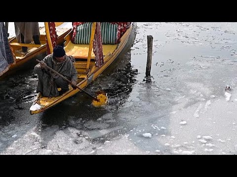 فيديو: في دال بحيرة كشمير؟