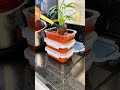 Fazer molho de tomate caseiro é mais simples do que parece. Marmitas Herméticas é na Mix!