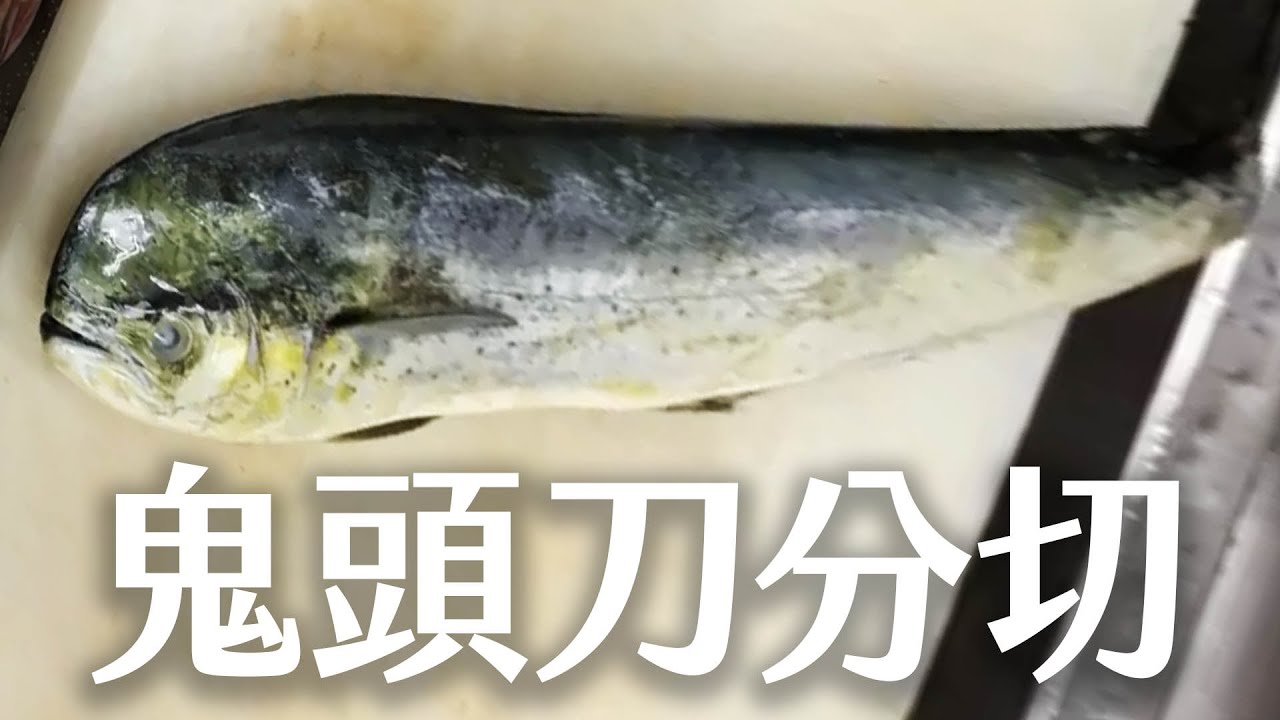 海洋主廚愛爾文魚類處理 如何分切鬼頭刀 How To Cut The Dolphin Fish Youtube