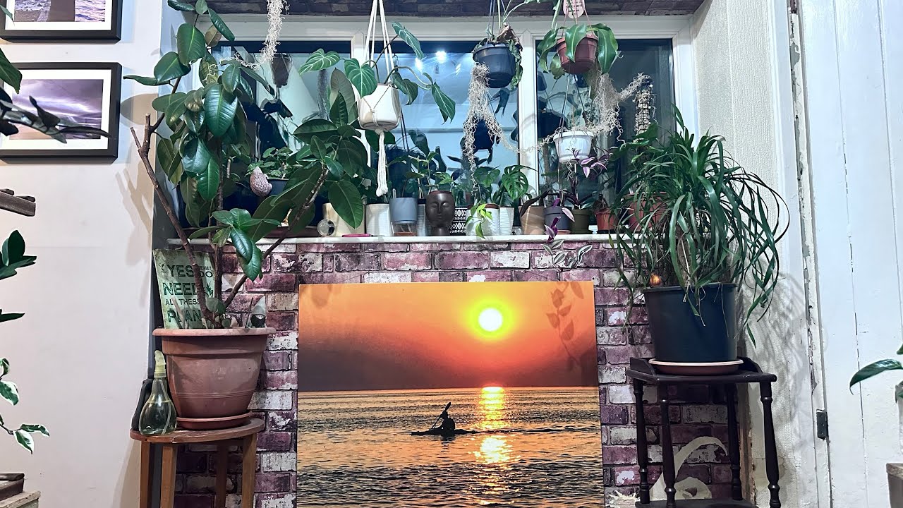 String of hearts propagated in water and soil  ✌️