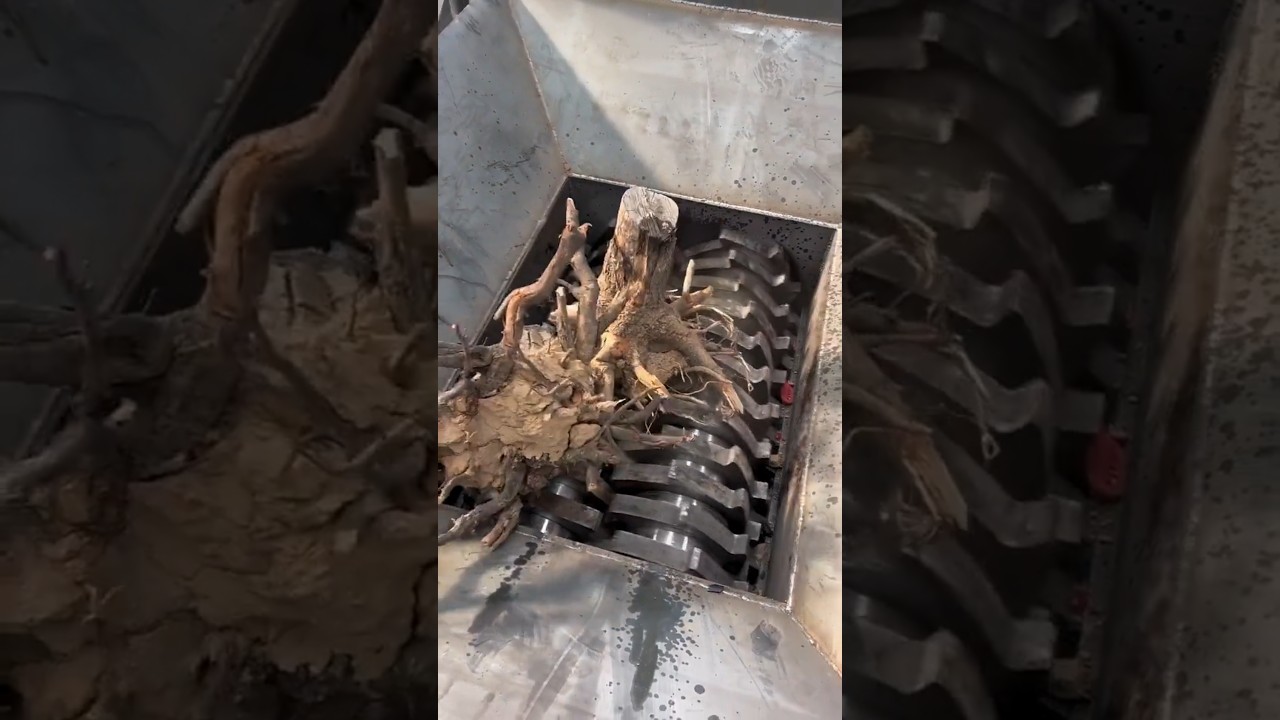 Shredder Machine Crushing Heavy And Giant WOOD🪵 