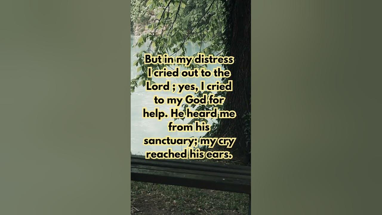 Bible Verse For A Stressed Person