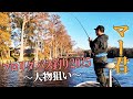 【バス釣りinフロリダ】2年ぶり!大物を狙う!