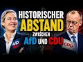 AFD ZIEHT DER CDU DAVON!