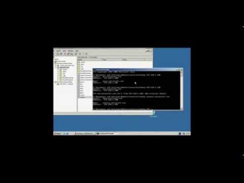 DNS Configuration on Windows Server 2003