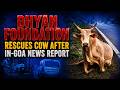 Dhyan Foundation Rescues Cow After IN-GOA News Report