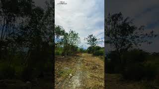 Download Lagu beautiful and relaxing place 💖💞💖#nature MP3