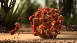 VID-20140224-WA000
