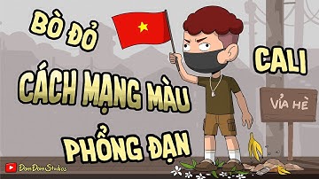 THẾ NÀO MỚI LÀ YÊU NƯỚC ? - YÊU NƯỚC CỰC ĐOAN
