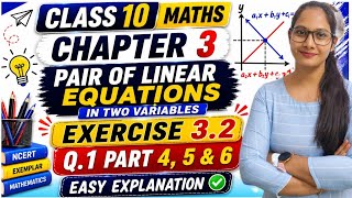 Class 10 Maths Chapter 3 Exercise 3.1 Question 1 Part 4, 5 & 6 | NCERT Solutions