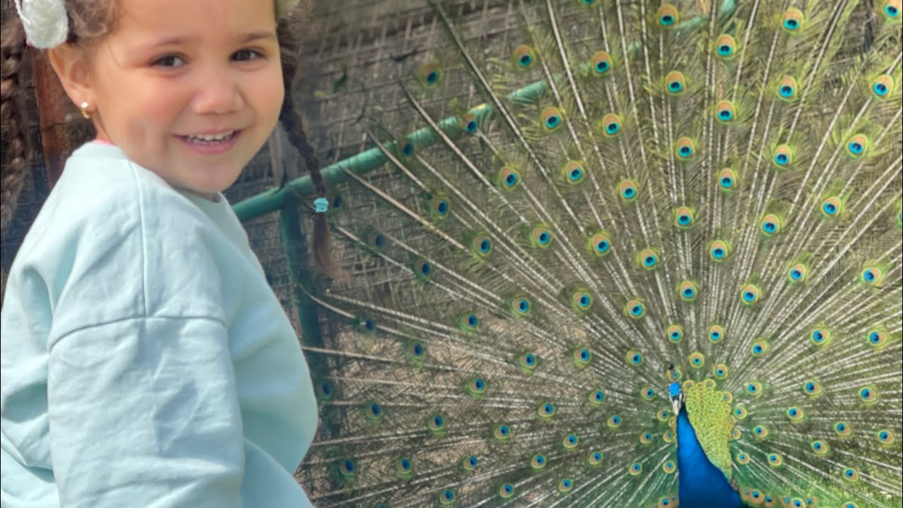 اول فيديو للعسولة في إيطاليا 🇮🇹  للمحبين عسولة او لي توحشوها كملو الفيديو  baby 