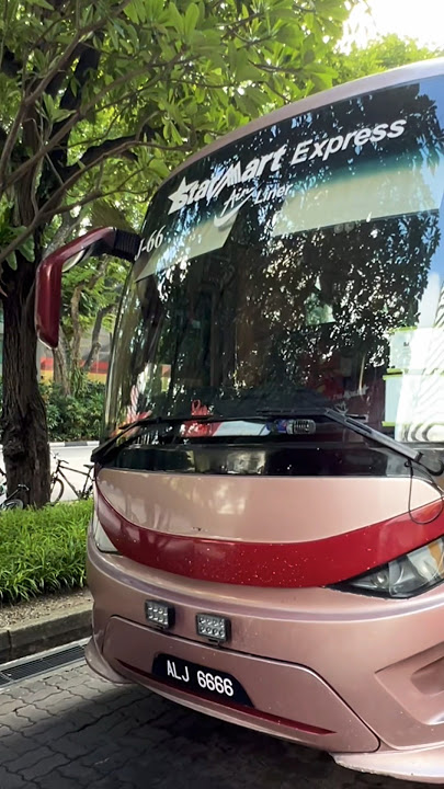 This is how Singapore to Malaysia Bus Looks Like | Singapore Intercity Bus | Starmart Express