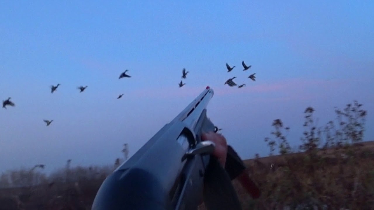 Отличная охота на утку осенью 2019 + ТРОФЕЙНЫЙ ЛОСЬ !!!!