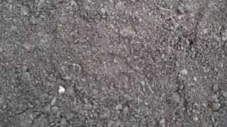 Cheap DIY Substrate part 3: Sphagnum peat moss накачать мышцы видео