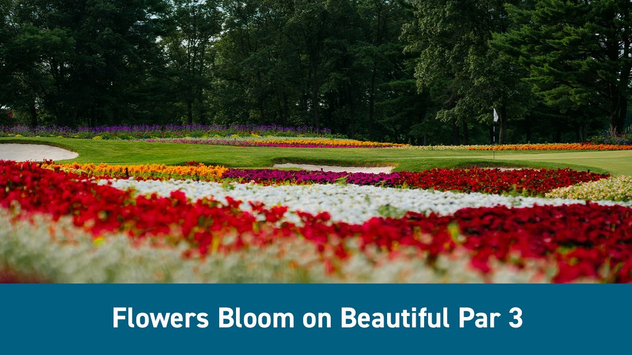 Golf at SentryWorld | The Iconic Flower Hole You Have to See