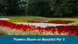 Golf at SentryWorld | The Iconic Flower Hole You Have to See