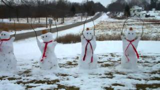 Ohio State Buckeyes OH - I SNOW!