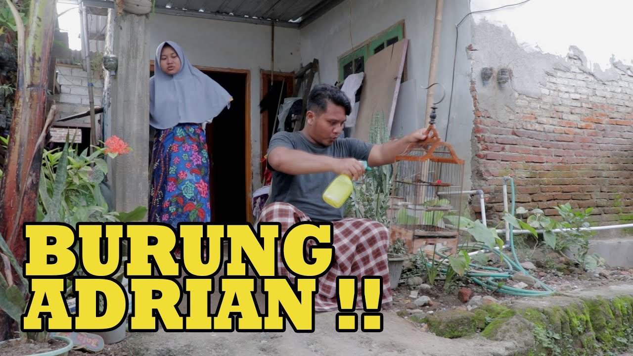 KOMEDAK (Komedi Dakwah) Sasak Lombok, Episode 32:  BURUNG ADRIAN