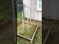 Prepping for the antenna tower #youtubeshorts #antennatower #Rohn tower #hamradio