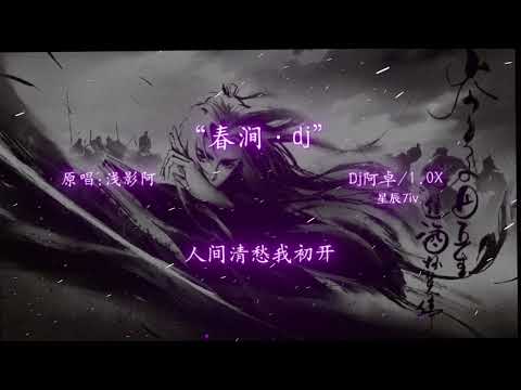 春涧 (DJ阿卓版) Douyin Remix